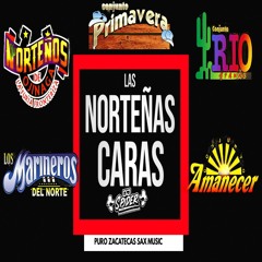 ''Las Nortenas  Caras''  Mix (Dj spider Pzs)