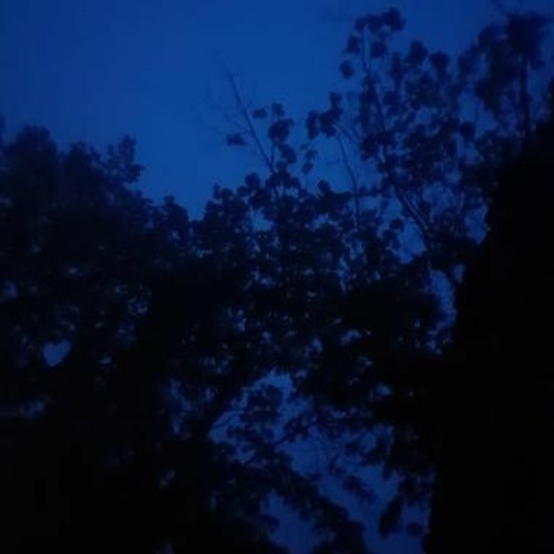 Zem - Dimly Lit Room Mix Feb 5 2023