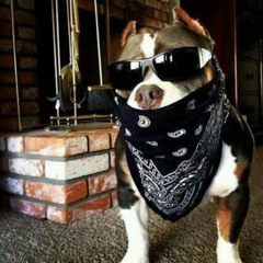 ELA SÓ QUER DAR PRA BANDIDO (( DJ TENHO MEDO DE MULHER ))