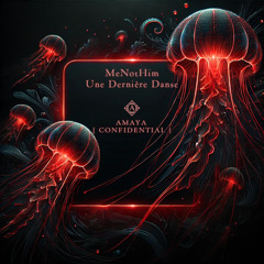 MeNotHim @ AMAYA [ CONFIDENTIAL ] | Une Dernière Danse | Dec 13, 2024