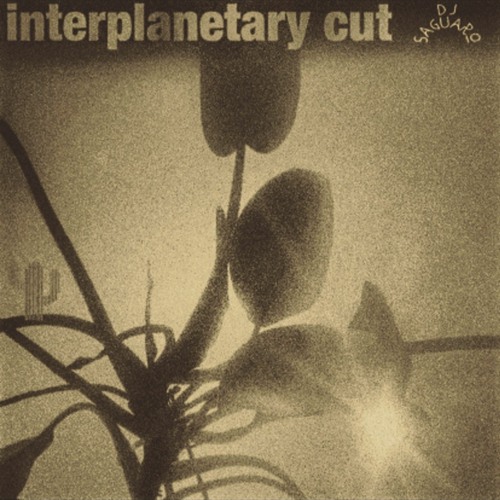 Interplanetary Cut