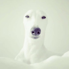 M.I.L.F (PROD JINXO)