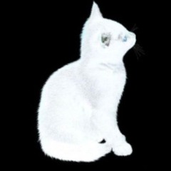 Model - Mey (Afro Remix)