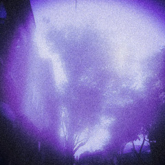 in Bridgeport Mix 001