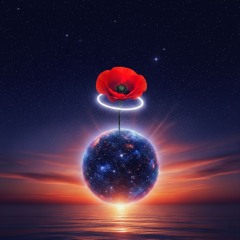 Anomaly