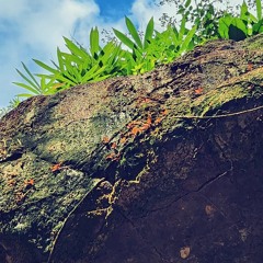 lửng lơ