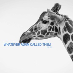 Vision Eternity Ministries - WHATEVER ADAM CALLED THEM