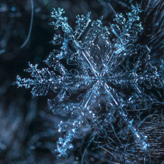 Loop - Snowflake
