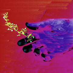 MISΦ - RED RUM (free download)