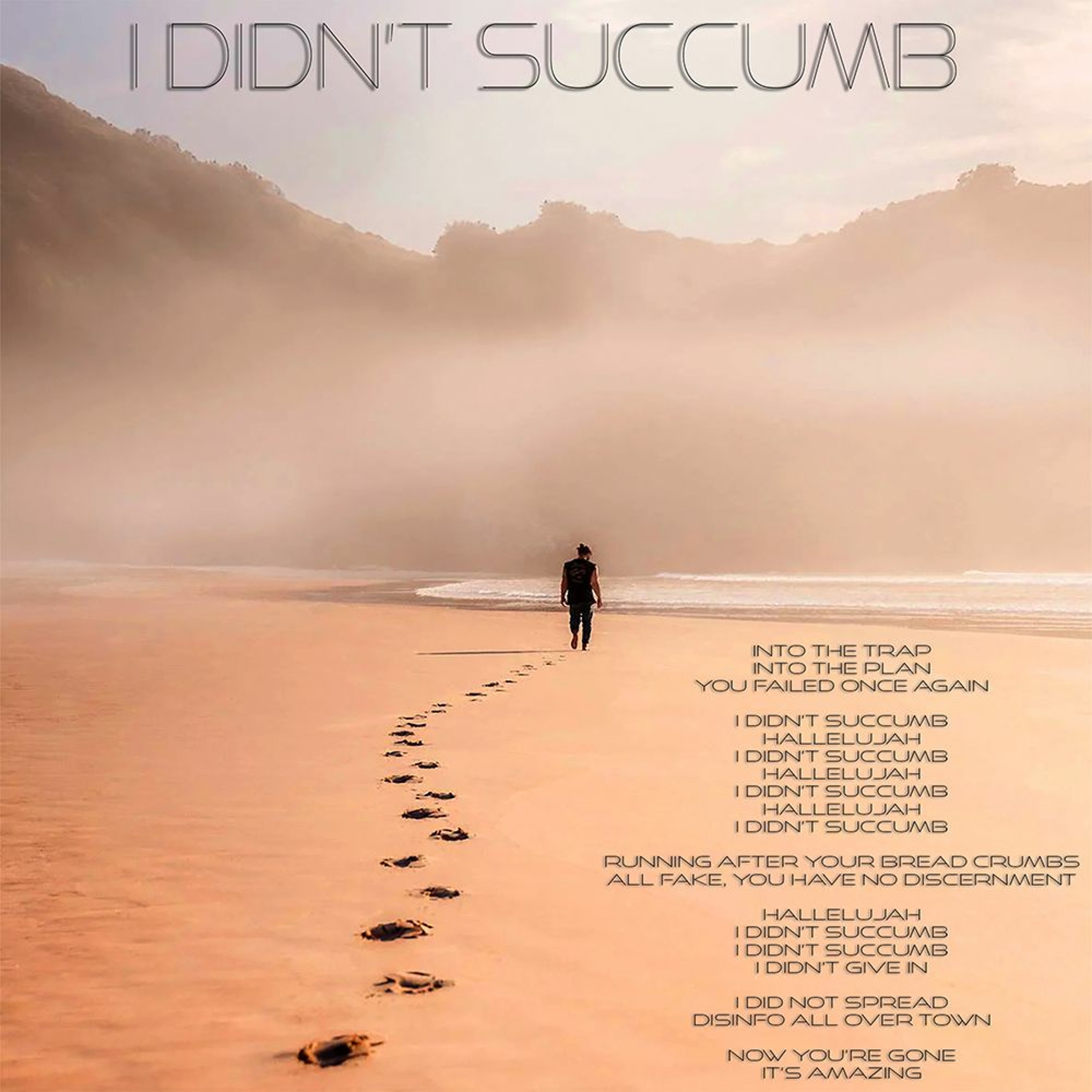 I Didn't Succumb episode artwork