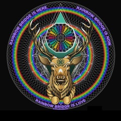 Rainbow Bridge is Now