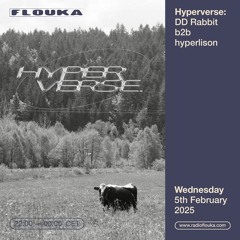 Hyperverse with DD Rabbit b2b hyperlison - 05/02/2025