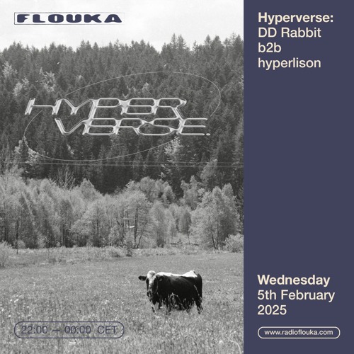 Hyperverse with DD Rabbit b2b hyperlison - 05/02/2025