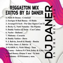 Reggaeton Mix - Exitos By Djdaner Clean