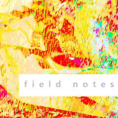 field notes - the stonerjazz version: re-release