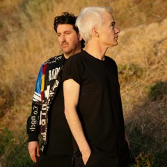 The Avalanches - We Go On (feat. Cola Boyy & Mick Jones) (slowed + reverb)