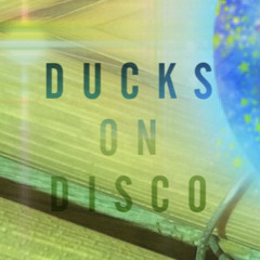 Ducks on Disco - SisyphosStrand 03.09.21