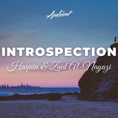 Haquin & Zaid Al-Nayazi - Introspection
