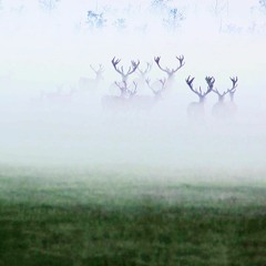 MOTDLP007 - Matthew Patterson Curry | Scores Vol. 1 - Not Where I Intended to Go