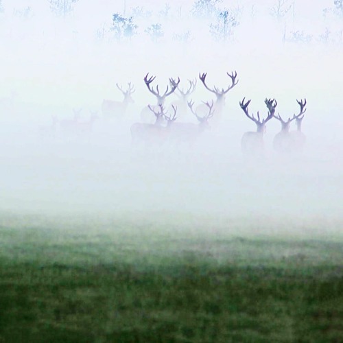 MOTDLP007 - Matthew Patterson Curry | Scores Vol. 1 - Not Where I Intended to Go