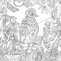 Una Noche en La Selva | A Night in The Jungle