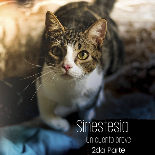 Sinestesia Episodio 2 (made with Spreaker)