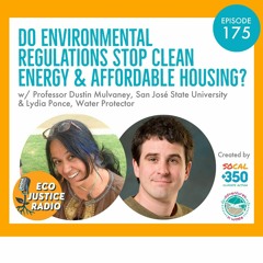 Do Environmental Regulations Stop Clean Energy and Affordable Housing?