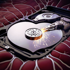 Heart Disk (Zipped)