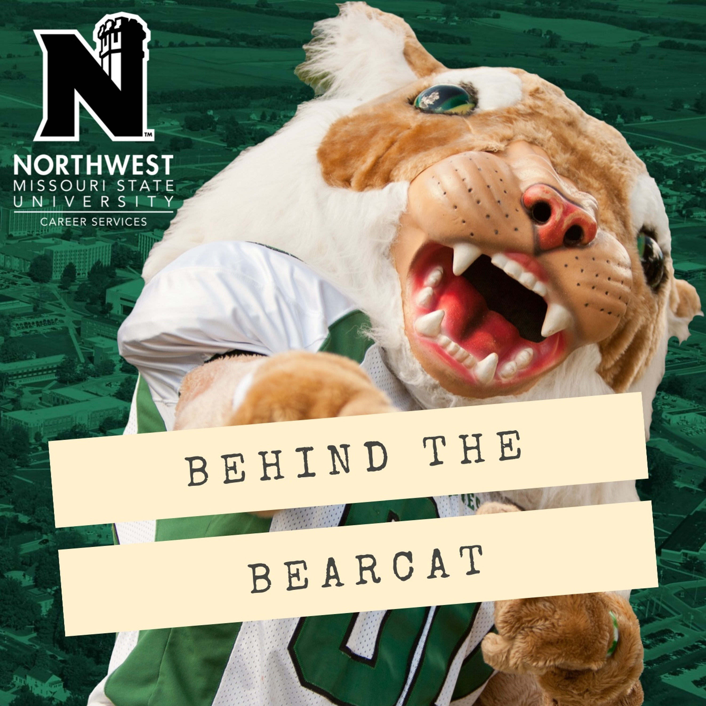 Behind the Bearcat