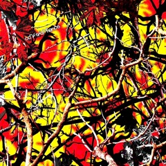 Birds of a Feather [MATRIXONLINE]