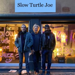 Slow Turtle Joe - Resistor