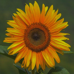 right now (feat.진 한)