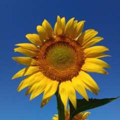 Brader  Kezîzer.mp3