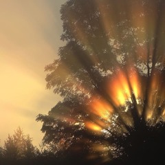 Forever Alone (ft. G Herbo)