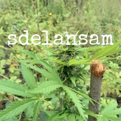 sdelansam - МИСТЕР НАКУР 2