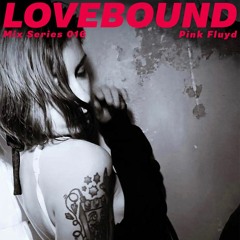 Pink Fluyd - Lovebound Mix Series 016
