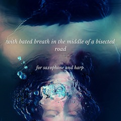 with bated breath in the middle of a bisected road (performed by Christopher Agnew and Alyson Kanne)
