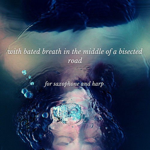 with bated breath in the middle of a bisected road (performed by Christopher Agnew and Alyson Kanne)