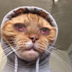 Nàng là trinh nữ tóc buông kín đôi vai gầy Nhạc Lofi Chill Miền Tây NB3 Hoài Bảo Hot TikTok