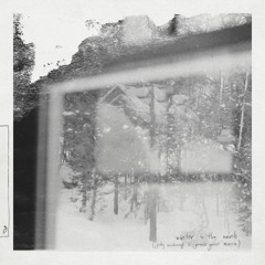 Leaving Laurel - Winter In The Woods (Jody Wisternoff & James Grant Remix)