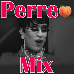 Perreo Mix (Don Chezina, TRA TRA TRA , El general, Daddy yankee,Bad bunny, Ivy queen, Nfasis)