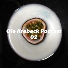Ole Krebeck Podcast 02