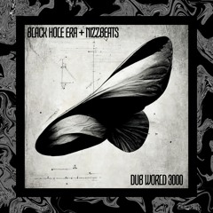 Black Hole Era, Nizzbeats - Dub World 3000