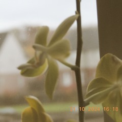 all my heart ˚ʚ♡ɞ˚ prod asperr + violet
