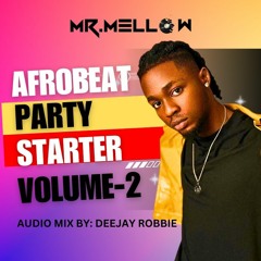 AFROBEAT - PARTY - STARTER - VOL+2