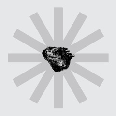 Iguana (JM Remix)