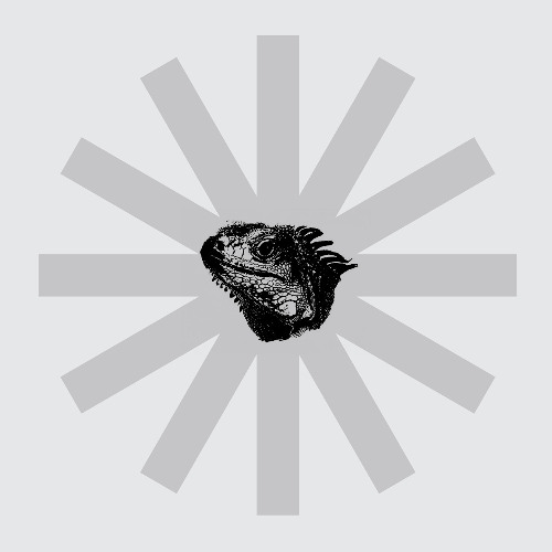 Iguana (JM Remix)