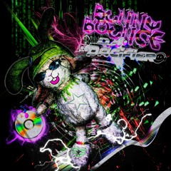 PREMIERE: DJ Pacifier - Bunny Bounce