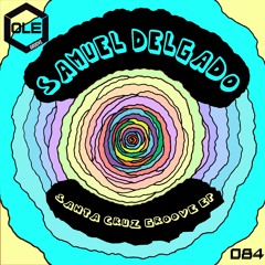 Samuel Delgado - Santa Cruz Groove Snippet