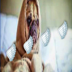 ЛЕТАЕШЬ (prod.balmainaddict x 1calvire)